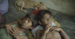 Kaakka Muttai